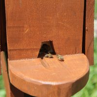 IHSE Biotop: Bienenkasten