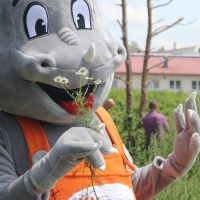 IHSE-Maskottchen Draco besichtigt die Gartenanlage